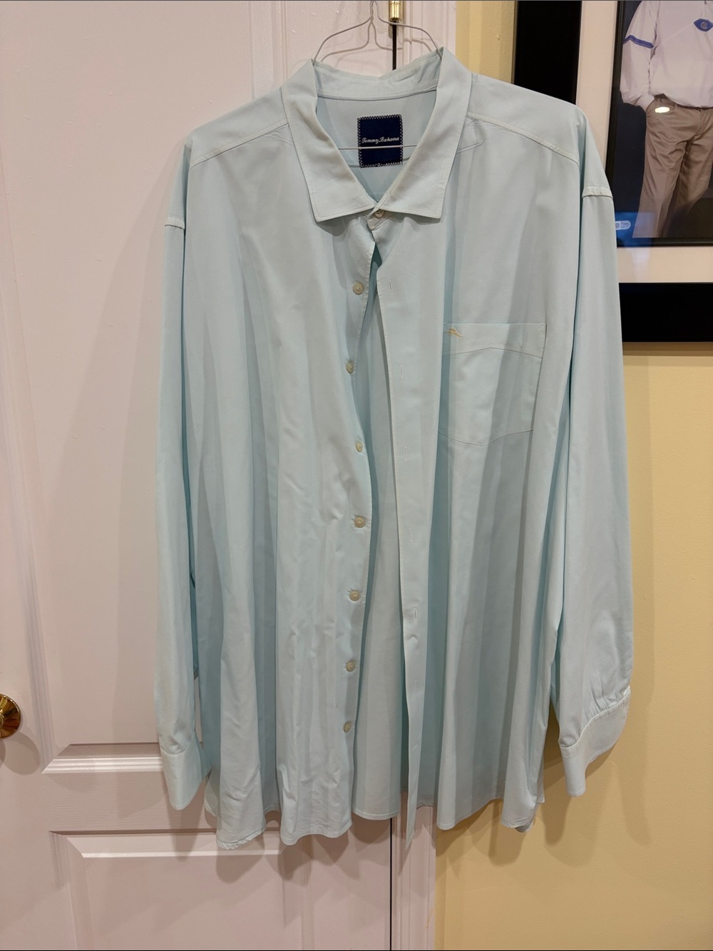 Tommy Bahama Mint Long-Sleeve Button Shirt